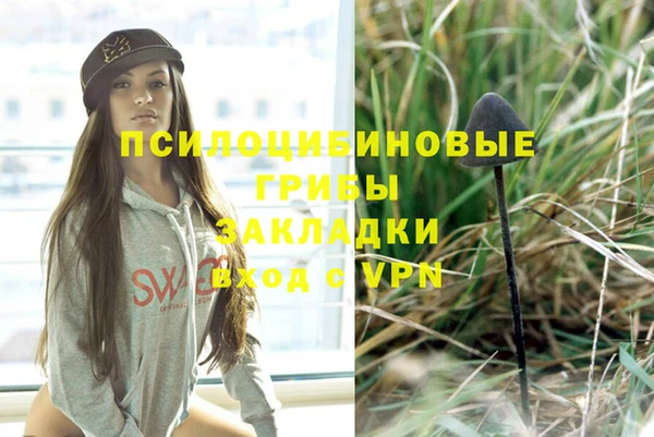 прущая мука Дубна