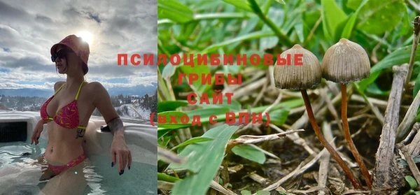 марки lsd Дрезна